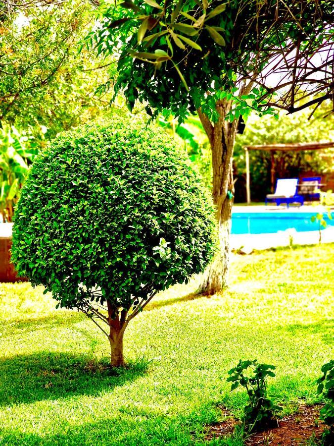 Bed and Breakfast Le Domaine De Carole Marrakech Douar Akkara Екстер'єр фото
