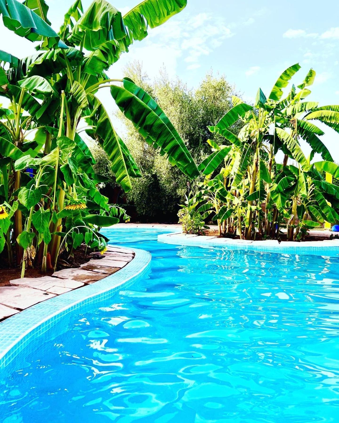 Bed and Breakfast Le Domaine De Carole Marrakech Douar Akkara Екстер'єр фото