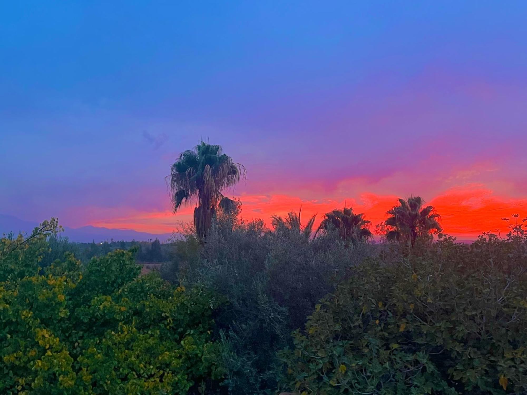 Bed and Breakfast Le Domaine De Carole Marrakech Douar Akkara Екстер'єр фото
