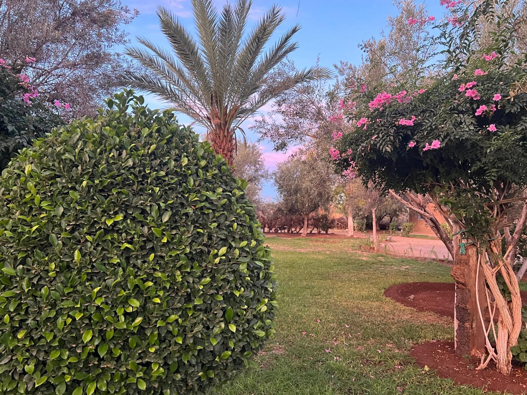 Bed and Breakfast Le Domaine De Carole Marrakech Douar Akkara Екстер'єр фото