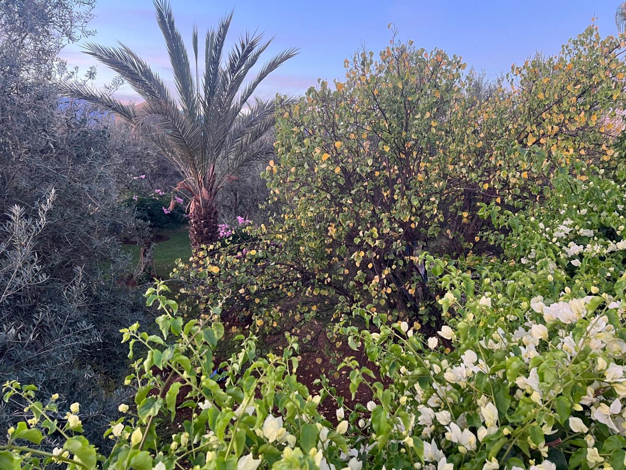 Bed and Breakfast Le Domaine De Carole Marrakech Douar Akkara Екстер'єр фото