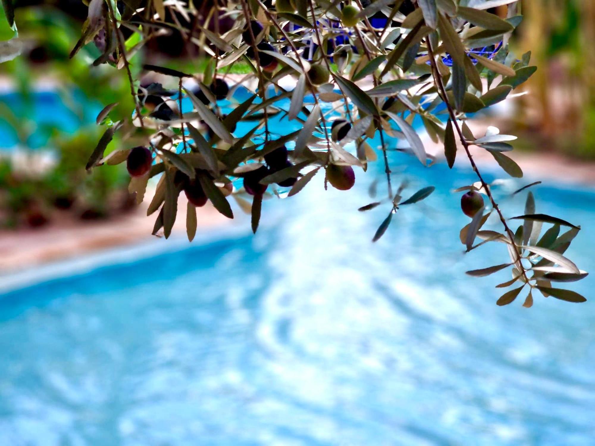 Bed and Breakfast Le Domaine De Carole Marrakech Douar Akkara Екстер'єр фото